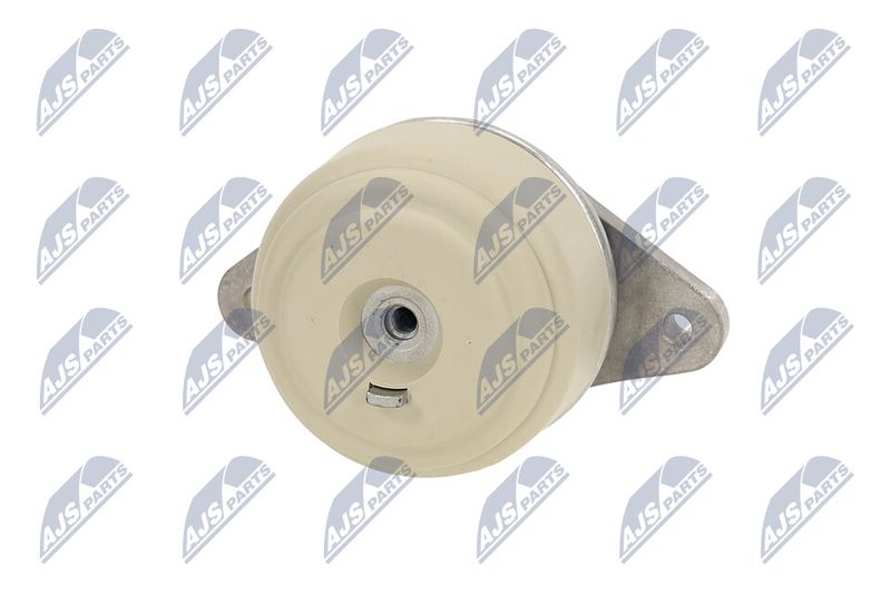 Paigutus, Mootor, NTY ZPS-ME-076