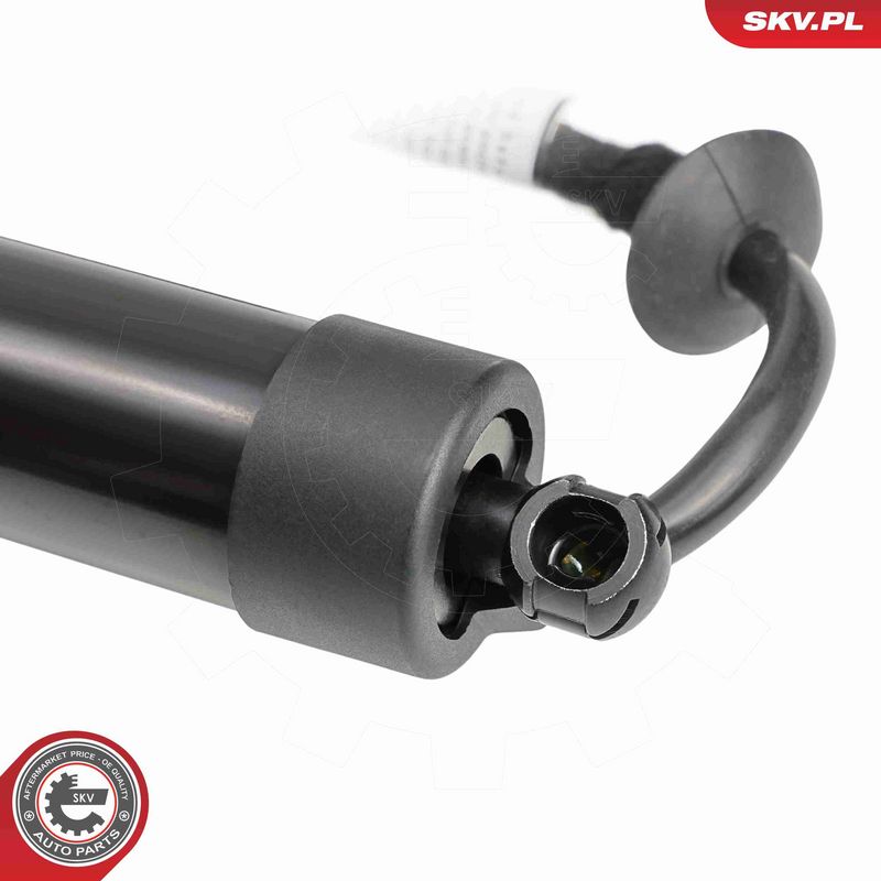 ESEN SKV 52SKV876 Electric Motor, tailgate