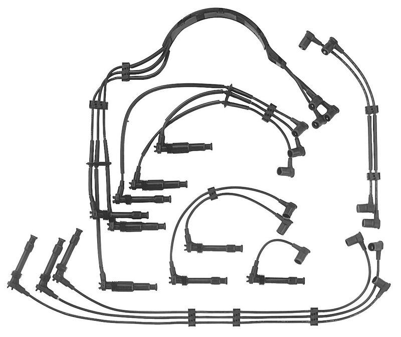 BorgWarner (BERU) Uždegimo laido komplektas