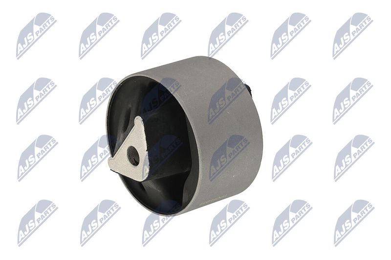 Paigutus, Mootor, NTY ZPS-CH-039