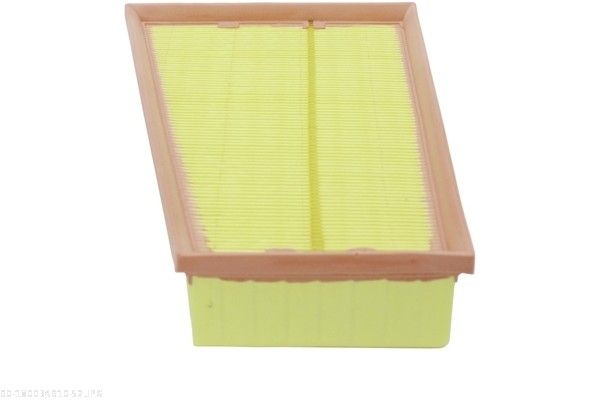 AUTOMEGA 180034910 Air Filter