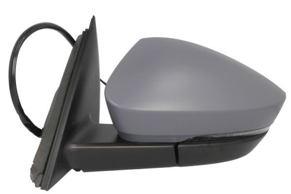 BLIC 5402-43-1925320P Exterior Mirror
