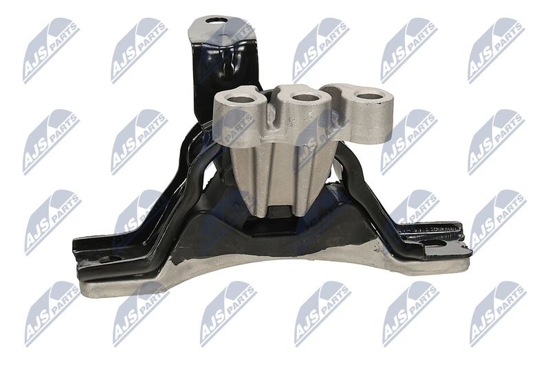 Paigutus, Mootor, NTY ZPS-PL-043