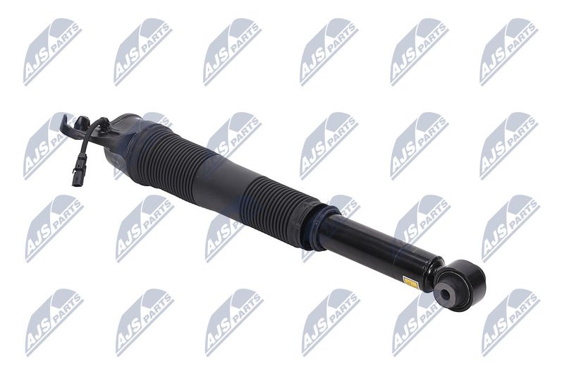 Amort, NTY A-LR-022