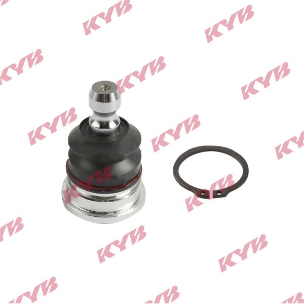 KYB-KBJ4448.JPG