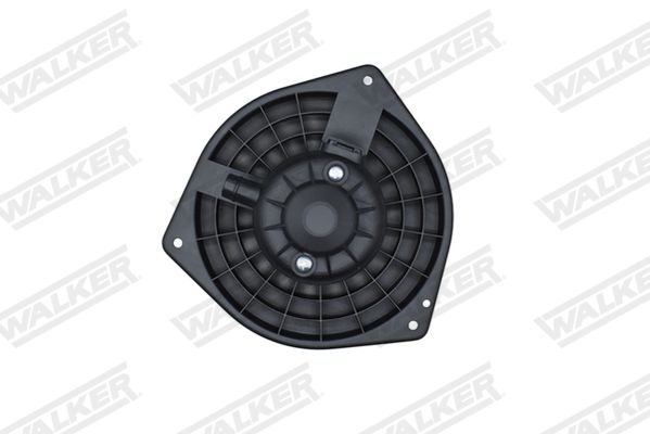 wbl00968_5350078.JPG