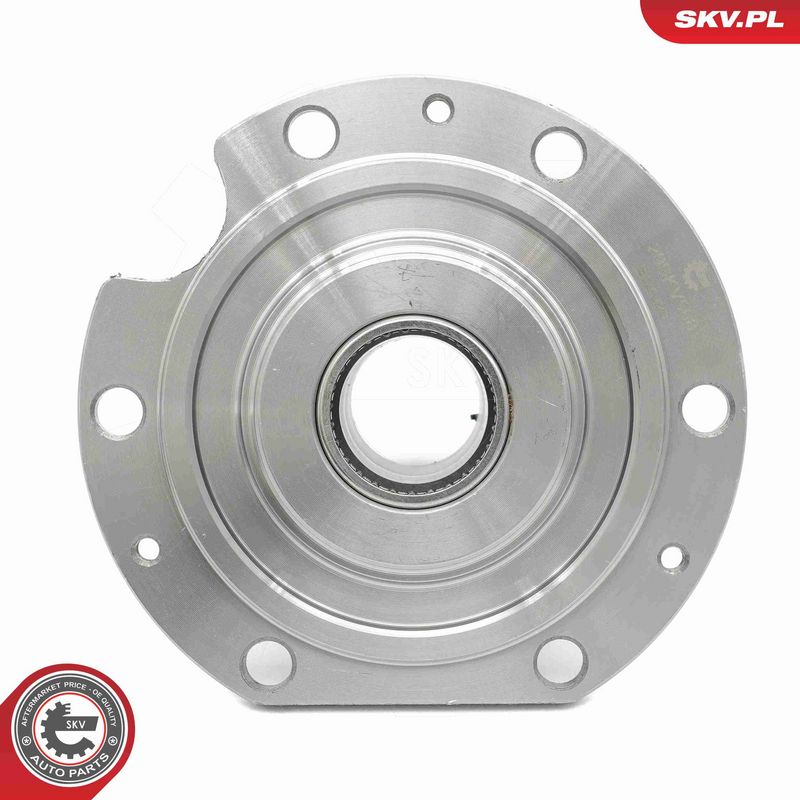 ESEN SKV 29SKV568 Wheel Bearing Kit