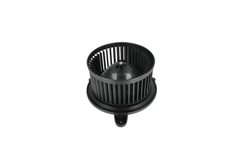 Salongipuhur, NRF 34365