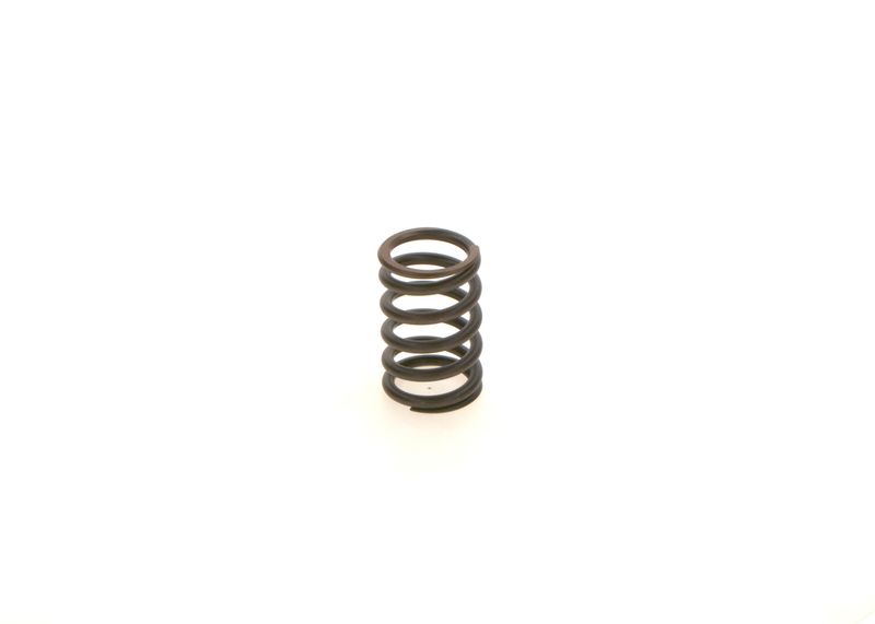BOSCH 1414619025 Spring