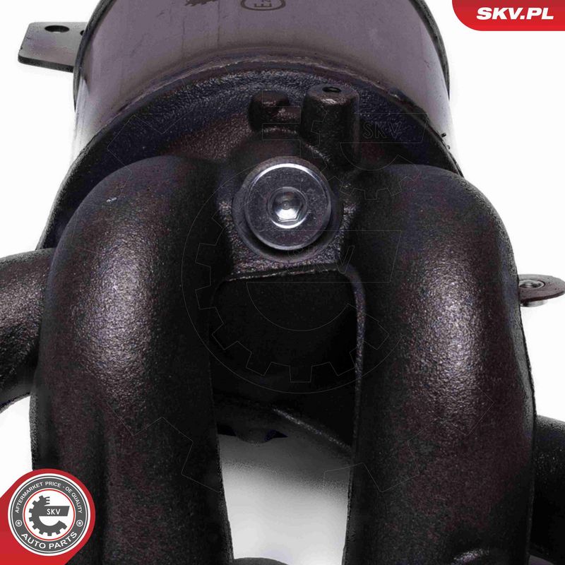 ESEN SKV 62SKV008 Catalytic Converter