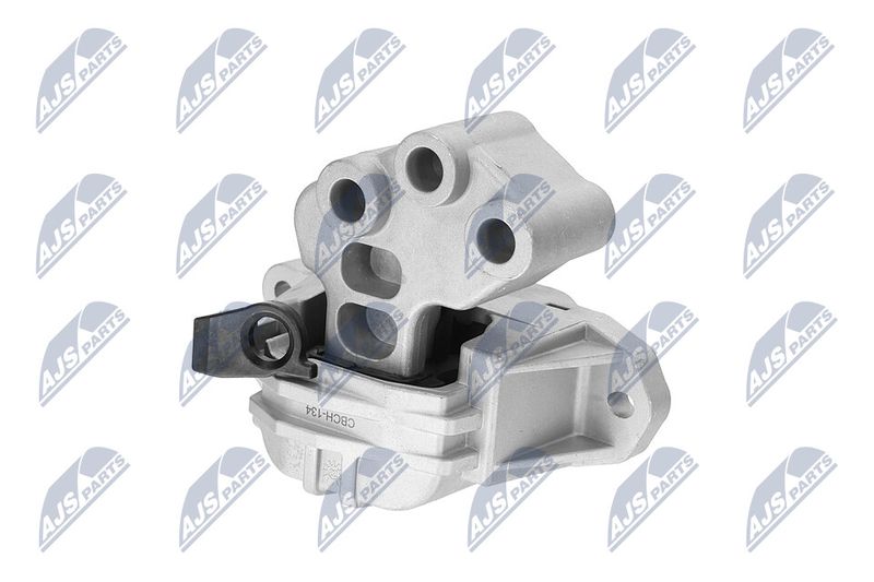 Paigutus, Mootor, NTY ZPS-CH-134