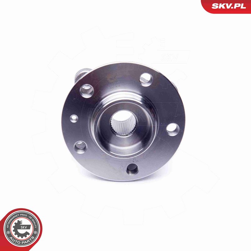 ESEN SKV 29SKV180 Wheel Bearing Kit