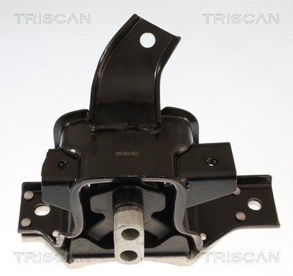 окачване, двигател TRISCAN