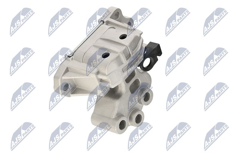 Paigutus, Mootor, NTY ZPS-CH-133