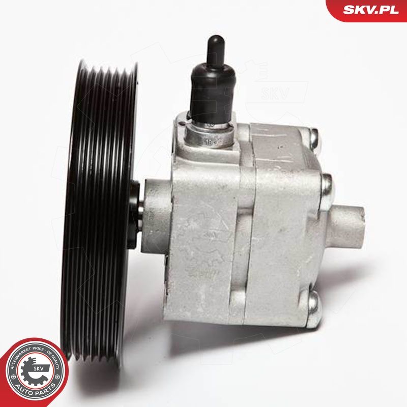 Hüdraulikapump, roolimine, ESEN SKV 10SKV092