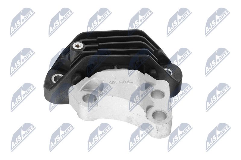 Paigutus, Mootor, NTY ZPS-CH-165