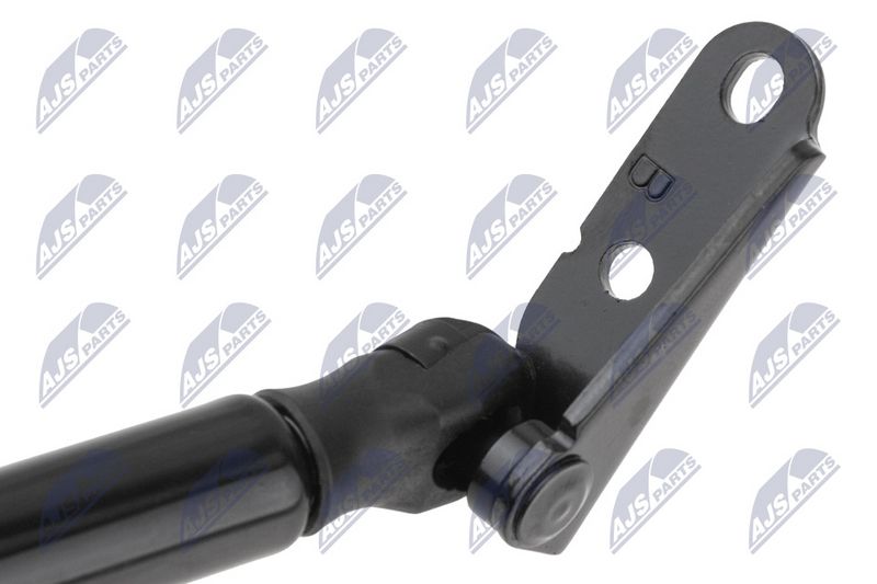 NTY AE-SU-005 Gas Spring, boot/cargo area