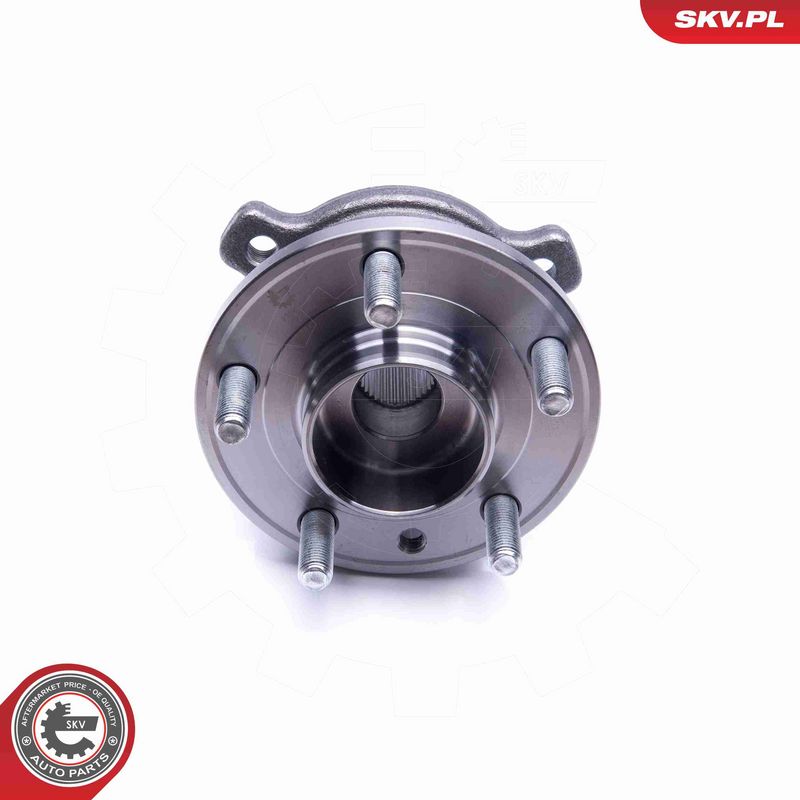ESEN SKV 29SKV265 Wheel Bearing Kit