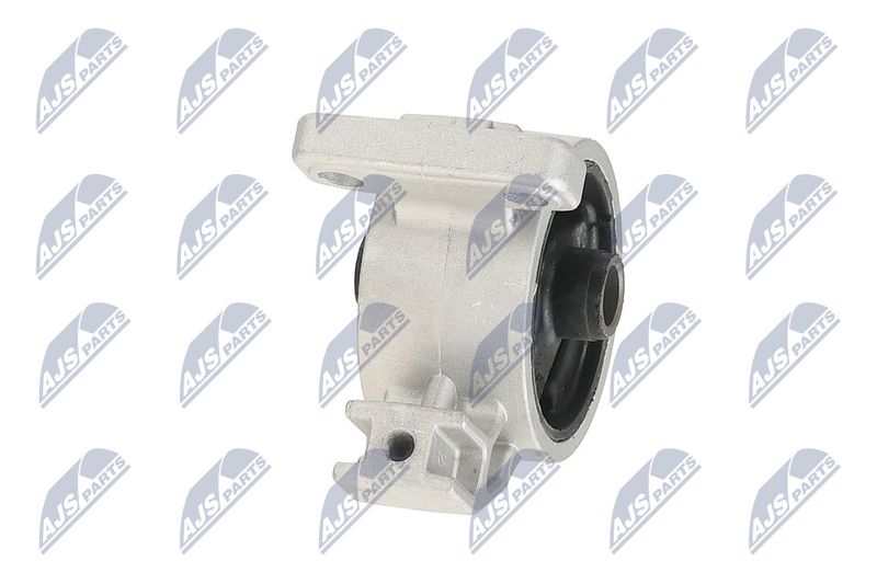 Paigutus, Mootor, NTY ZPS-KA-318