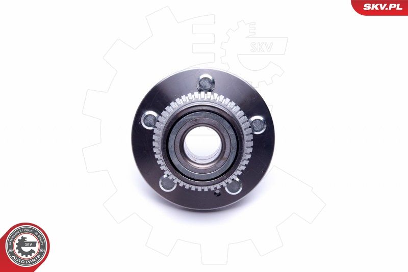 ESEN SKV 29SKV370 Wheel Bearing Kit