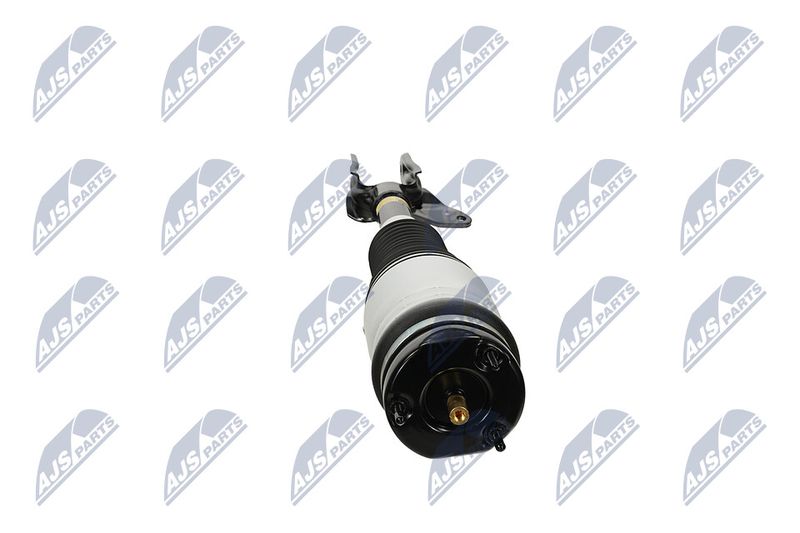 Amort, NTY A-CH-136