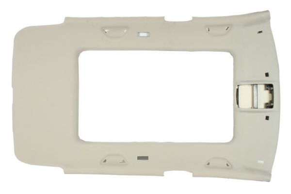 BLIC 6600-00-9548701P - Roof Interior Lining