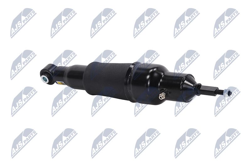 Amort, NTY A-NS-051