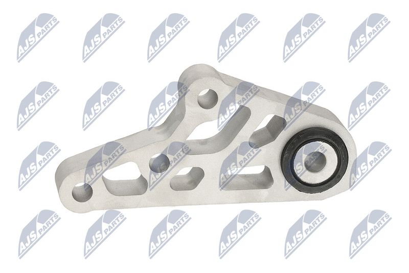 Paigutus, Mootor, NTY ZPS-CH-119