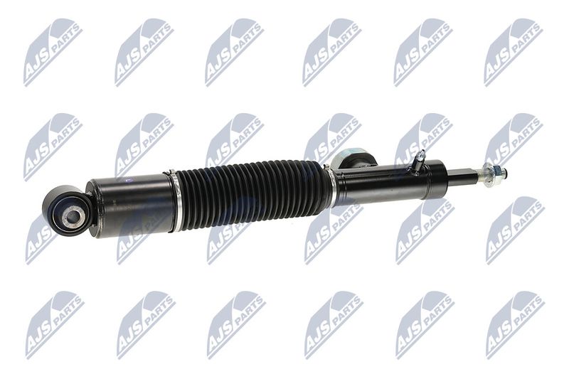 Amort, NTY A-NS-055