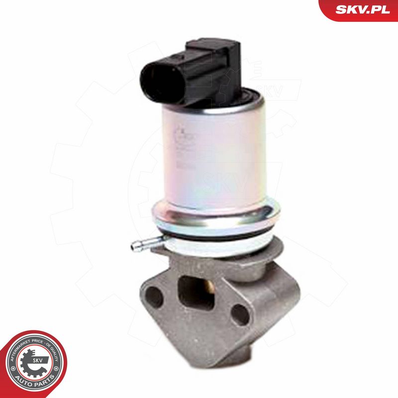 ESEN SKV 14SKV043 EGR Valve