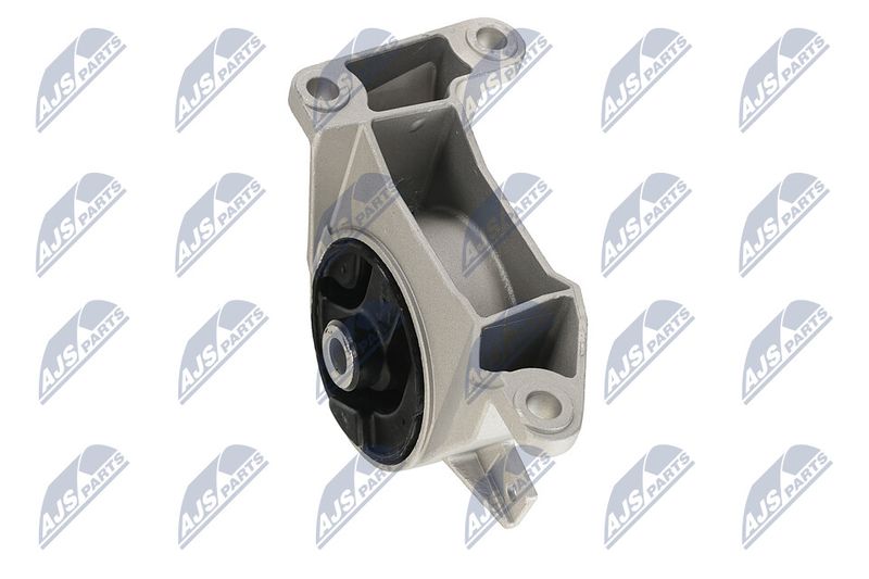 Paigutus, Mootor, NTY ZPS-PL-039