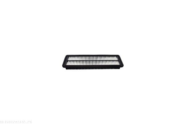 AUTOMEGA 250051410 Air Filter