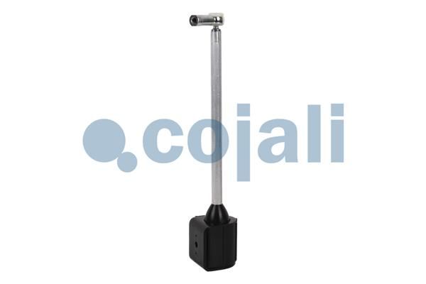 COJALI 6002221 Suspension Strut, air suspension