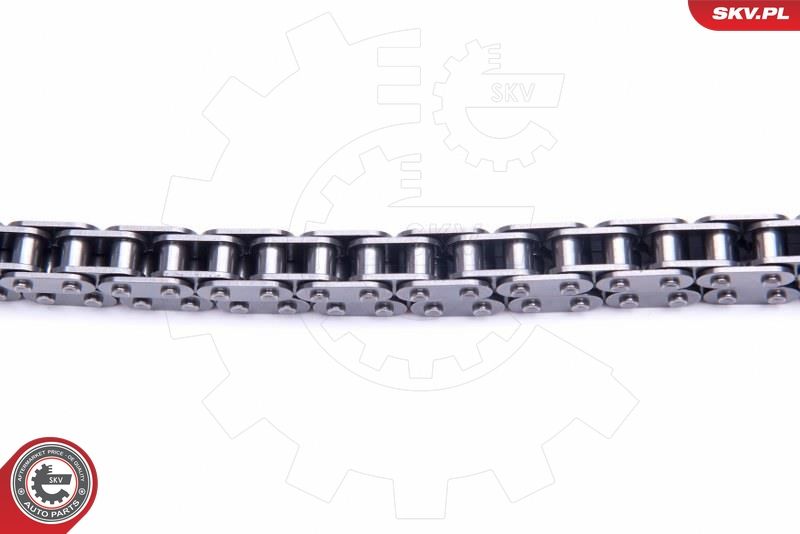 ESEN SKV 21SKV239 Timing Chain Kit