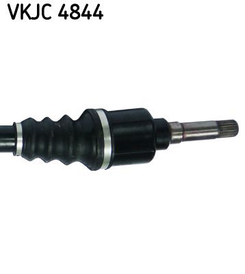 VKJC 4844_3.JPG