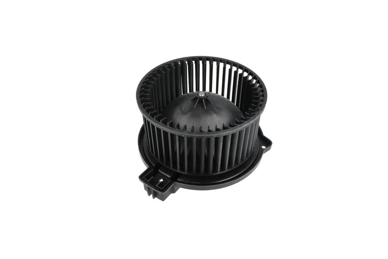 Salongipuhur, NRF 34331