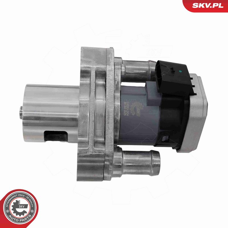 ESEN SKV 14SKV304 EGR Valve