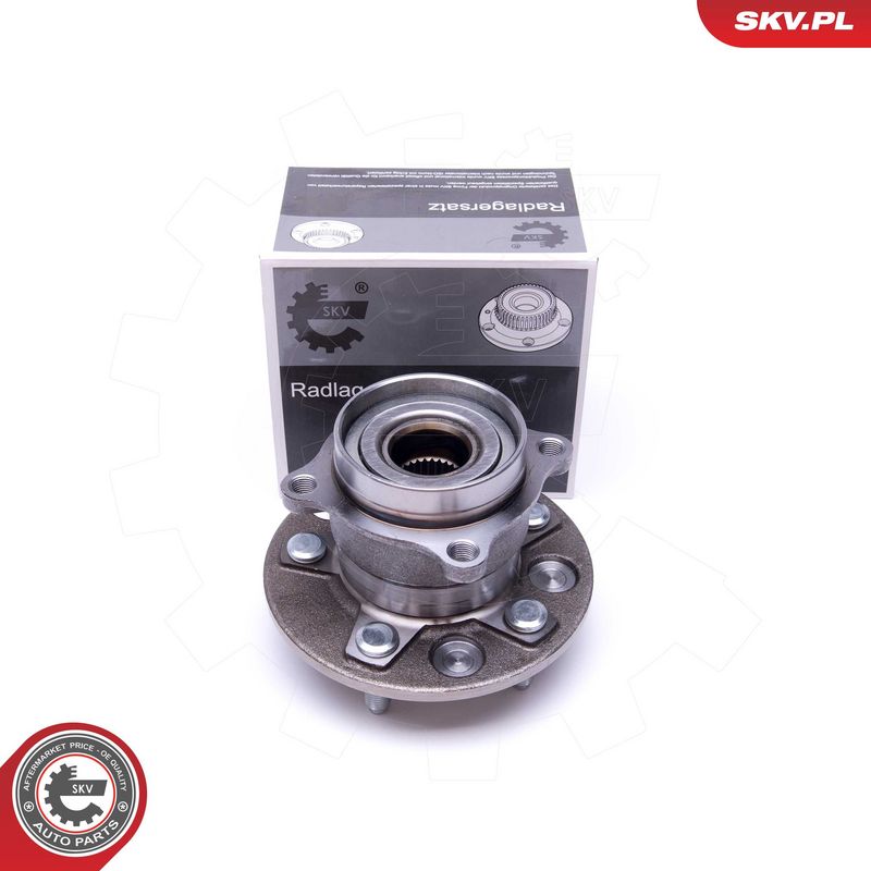 Rattalaagrikomplekt, ESEN SKV 29SKV421