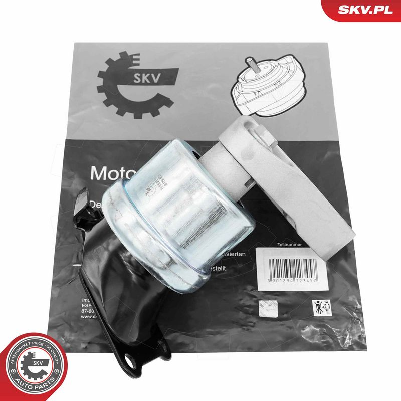 Paigutus, Mootor, ESEN SKV 75SKV174