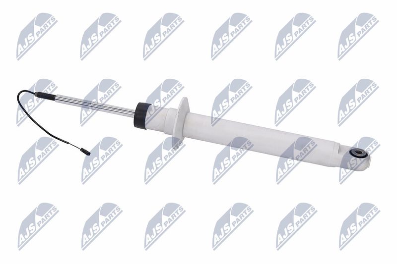 Amort, NTY A-MA-001