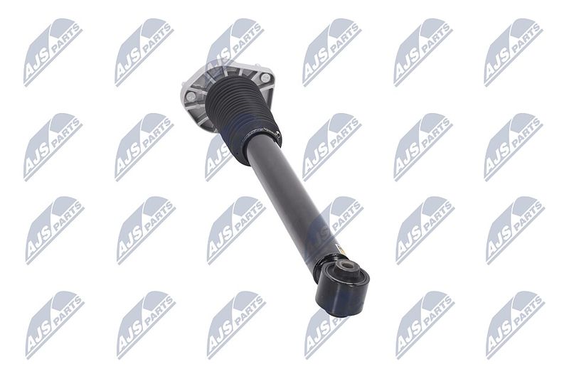 Amort, NTY A-LR-015