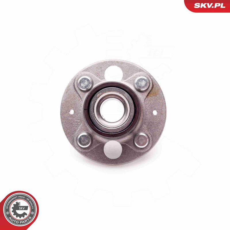 ESEN SKV 29SKV030 Wheel Bearing Kit