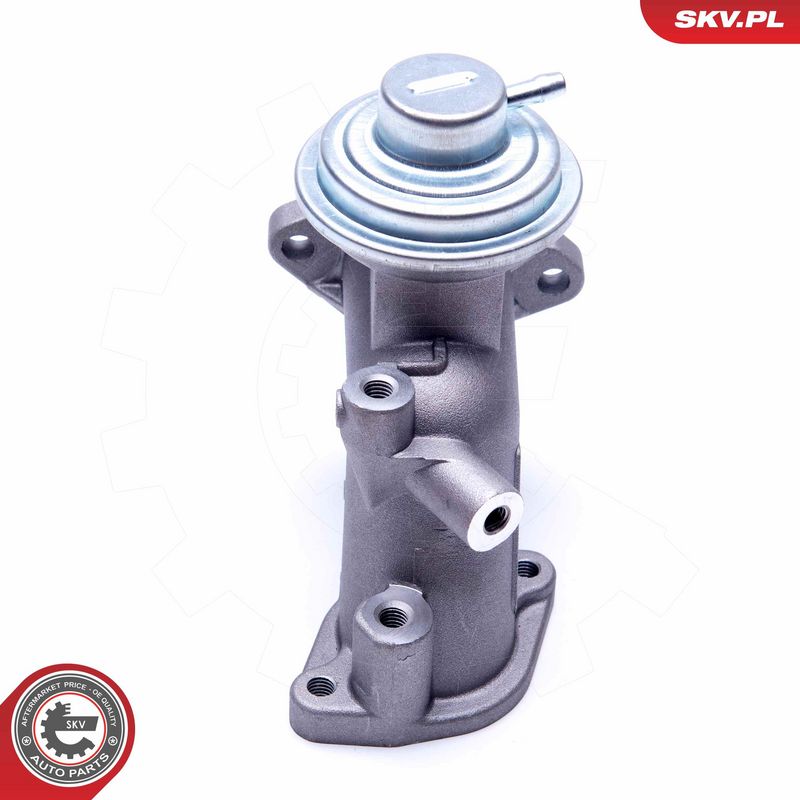 EGR-klapp, ESEN SKV 14SKV180