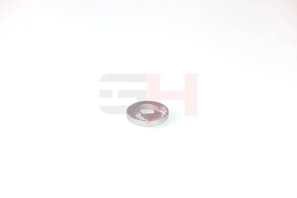 caster shim, sillatala, GH GH-391582