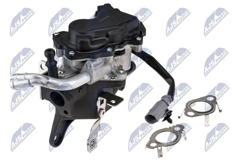 EGR-VW-033_1-WM.JPG