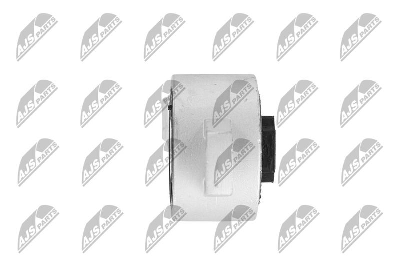 Paigutus, Mootor, NTY ZPS-CH-056