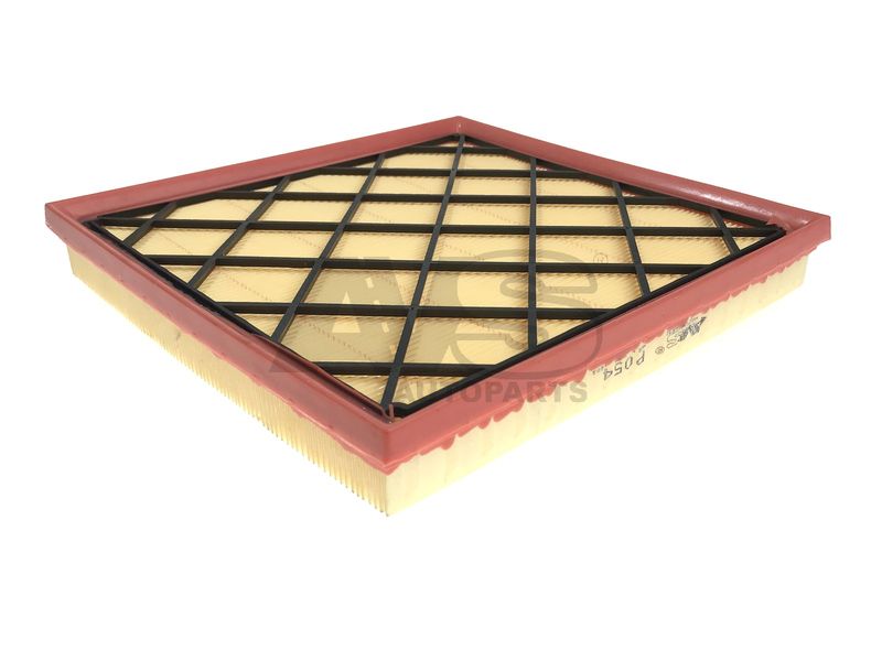 AVS AUTOPARTS P054 Oro filtras