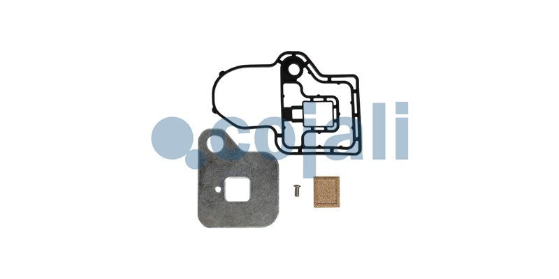 Set garnituri, transmisie manuala COJALI 6019514