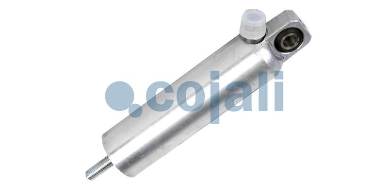 Cilindru de lucru COJALI 2301205