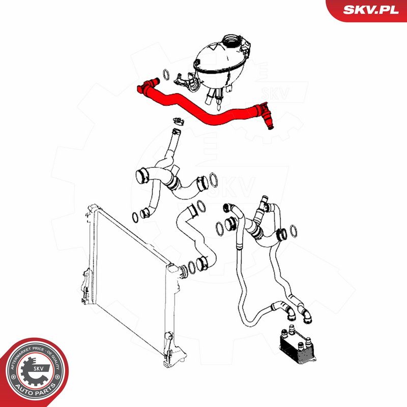 ESEN SKV 54SKV169 Radiator Hose